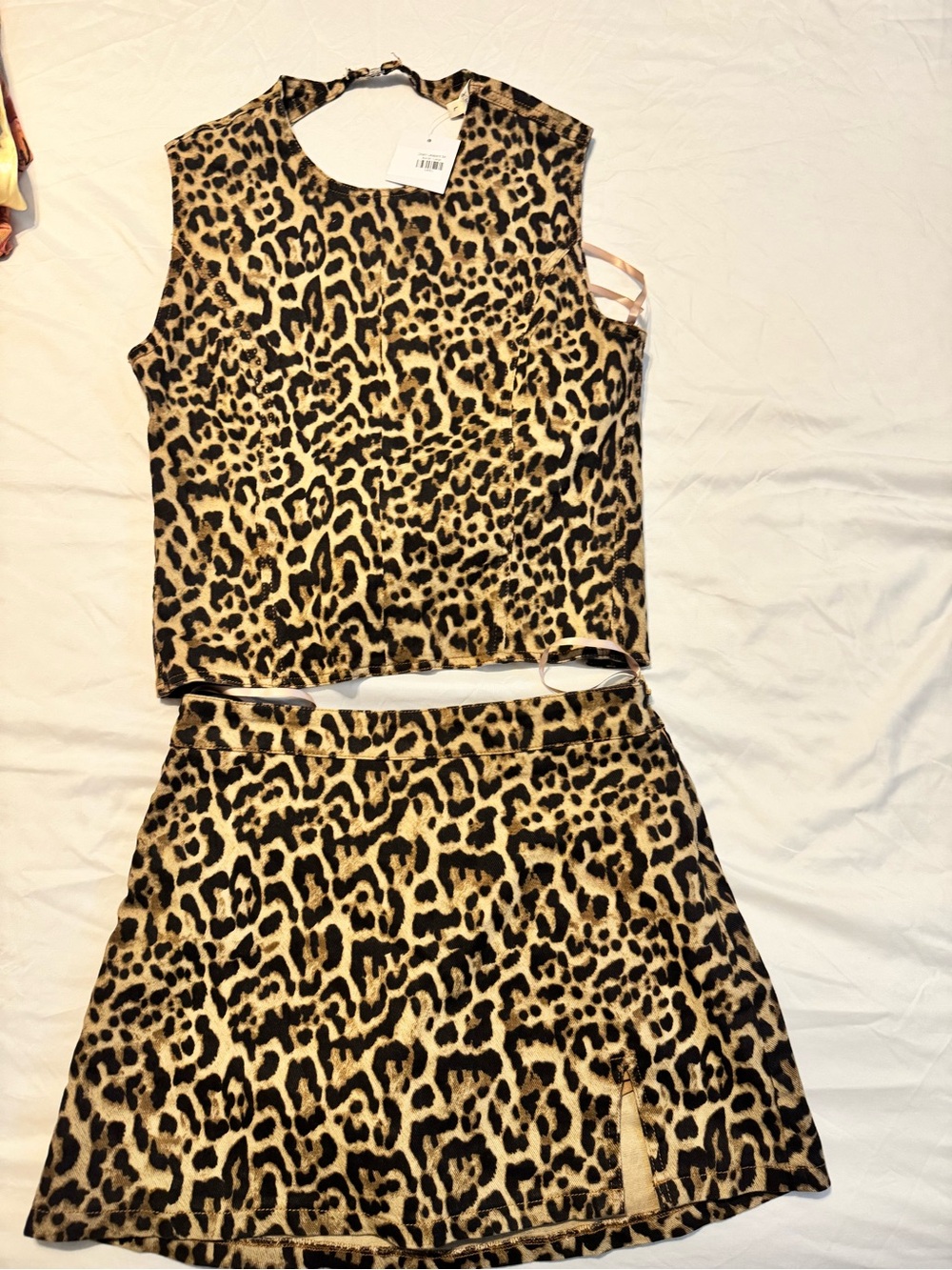 Leopard Print Two-Piece Skirt Set - Animal Print Crop Top & Skirt